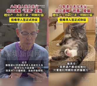 8旬独居翁「遗产想留给爱猫」 陆动保团体急献策