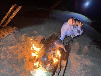 近1周無新發現海漂豬！金門豬肉禁運令解除