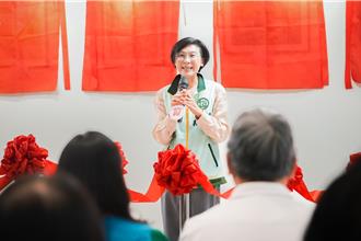 民進黨廉政會要求說明助理費案  林岱樺深夜回應：爭取公道