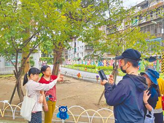 新北 社工陪伴 身心障礙者擁抱生活