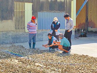 竹市去年資源循環績效 獲優等