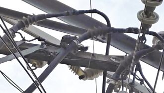 后里凌晨停電 松鼠惹的禍