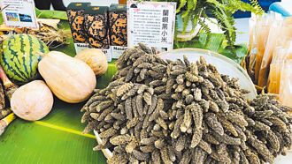 蘭嶼黑小米復育有成7／12豐收祭