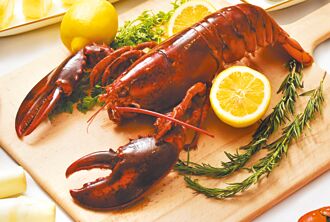 神旺潮品集 龍蝦限時988元