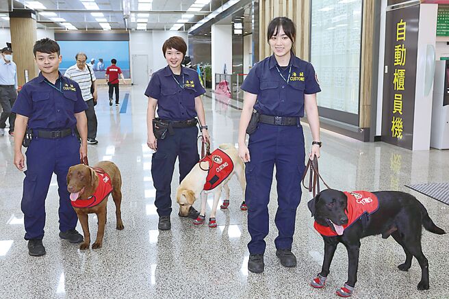 农业部推动执勤犬保单，保费将由农业部全额支出。图为海关缉毒犬。（陈俊吉摄）