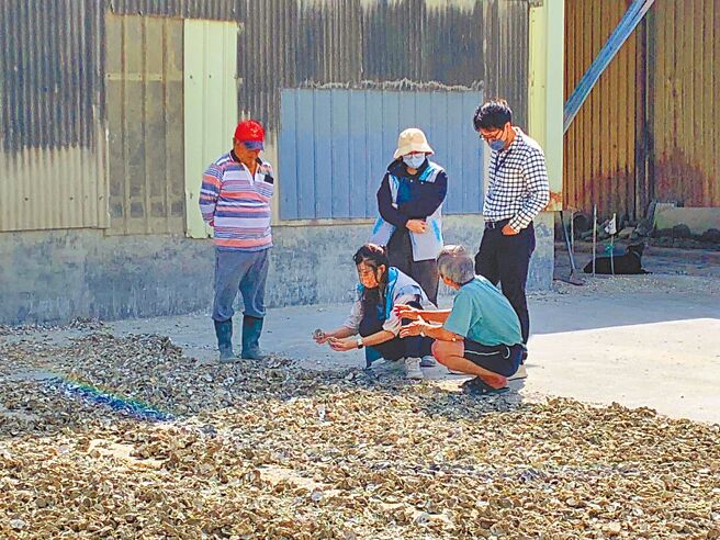 新竹市政府近日于环境部绩效考核中的资源循环指标项目荣获「优等」肯定，其中在「再利用及循环处理」方面，透过系统性盘点掌握「生物质」废弃物产量稽核与流向追踪。（新竹市政府提供／陈育贤新竹传真）
