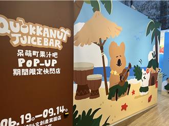 夏日療癒快閃店！DINOTAENG穿草裙超萌、史迪奇聯手玩具總動員