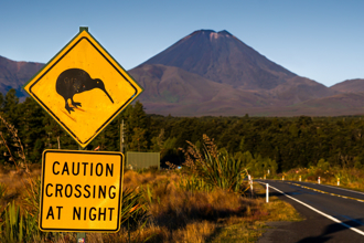 全球若爆核戰 川普能逃哪？美「末日計畫」驚見三座秘密基地