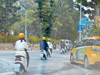 陸客騎車違規亂象 金縣府稽查