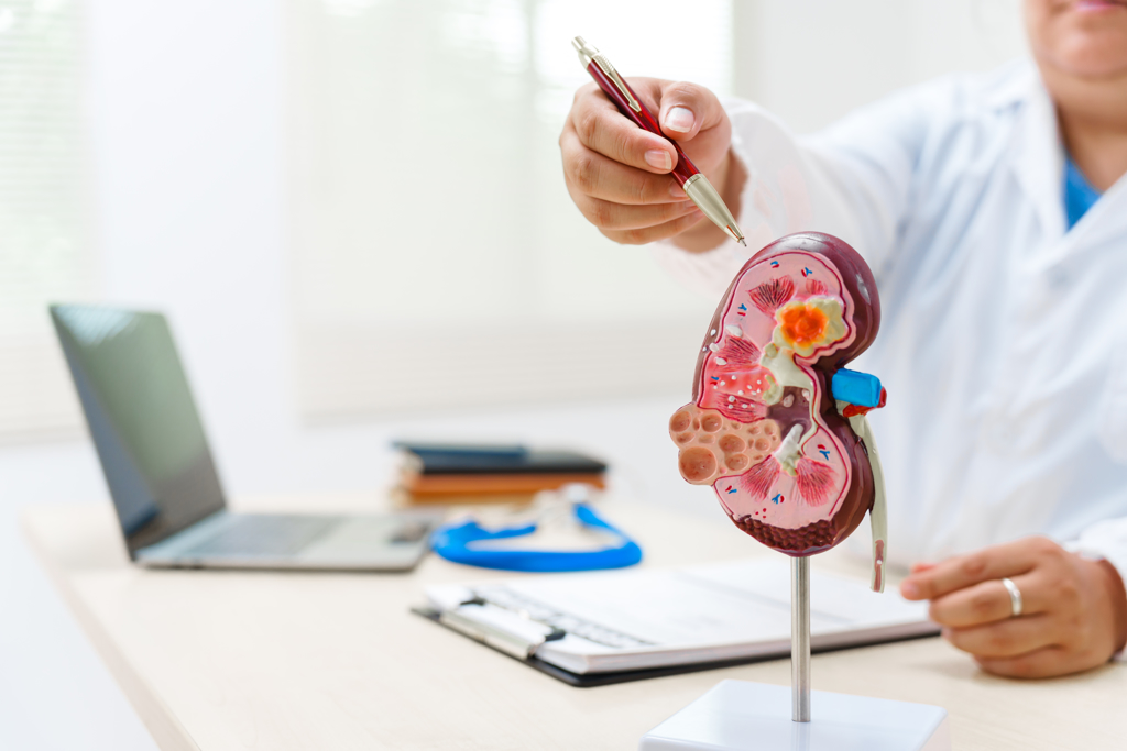 健康新視界》慢性腎病與難治性高血壓惡性循環的解方(潘懷宗)