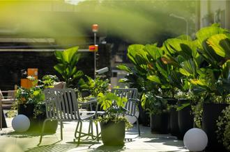 台北大巨蛋对面隐世绿境 国联饭店SLATE CAFE板石咖啡厅开幕推双重优惠