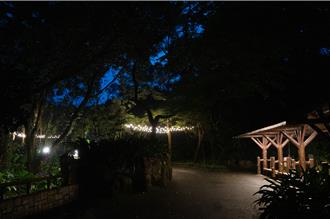 暑假夜遊動物園！網曝：就是去看人 園方回應了