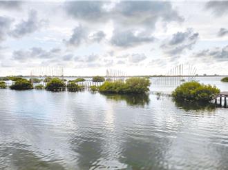 雲林地層下陷面積縮小21平方公里 關鍵秘密曝光