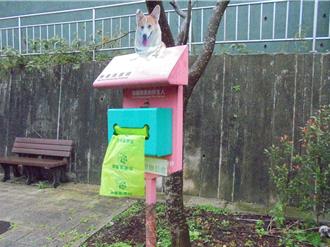 基隆遛狗注意！「不清狗便」最高罰6千