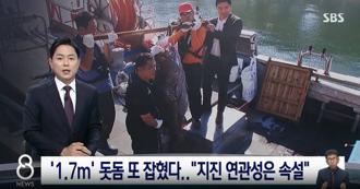 地震前兆？釜山5度捕获「传说级深海鱼」捕到可称龙王选中之人