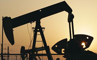 劉鏡清：油價對CPI影響仍可控 穩定物價小組 適時提對策