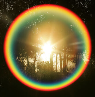 佳能：H2營運樂觀