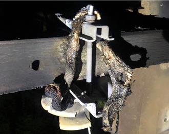 雲林深夜大停電影響4千多戶 元凶是「牠」爬電線桿肇禍