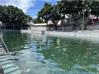 與魚蝦共遊 台東市「普魯」湧泉公園免費開放