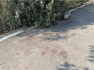 前男友杀死现任「棉被包裹弃尸」  她协助清理装尸判刑6月