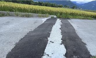 花東雙軌化工程惹民怨！農民控農路遭毀 收割期進出困難