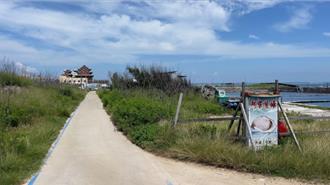 惹到韓網紅遭停業 澎湖阿家生蠔賭氣不賣了