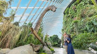 新加坡旅遊新玩法！建國週年活動開跑 海洋生態館、娘惹文化全新體驗