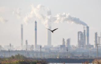 不到8成碳費徵收工廠申請自主減量 環境部提醒6／30截止