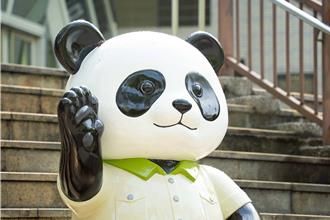 台北動物園完成設施升級 6／28重啟同步為大貓熊圓寶慶生