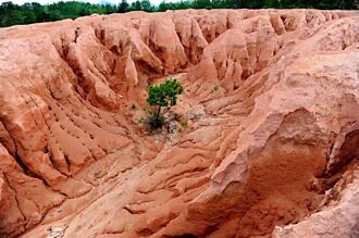 上交護照 陸管制稀土專家出境防洩密