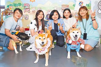 夏日派對 雲西海洋音樂季7月26日登場