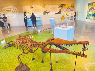 台灣豐玉姬鱷化石 首度曝光