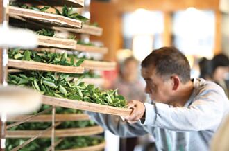 臺灣茶 走過產地 邁向國際