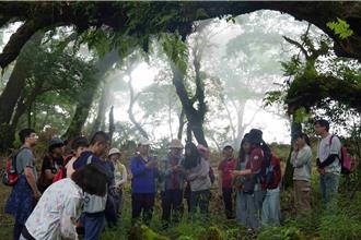 山椒鱼带我游观雾暑假开跑 连续六周假日5大主题免费玩