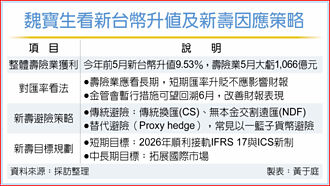 台幣強升重擊壽險 魏寶生：多層把關降匯損