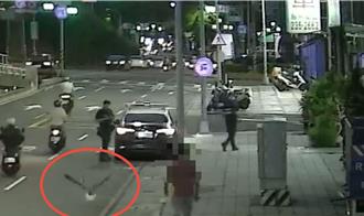 寵物鵝未牽繩！「展翅」逛大街 飼主挨罰最高600元