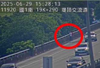 快讯》国一汐五高架路肩惊见行人 红白2人边走边聊