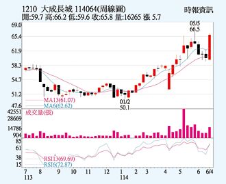 大成 新廠8月投產