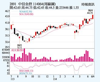 中信金 股價續創新高