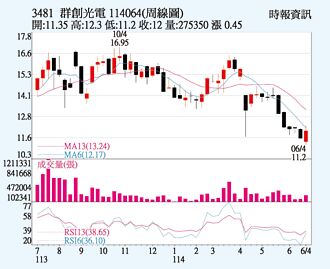 群創 擴大車用布局