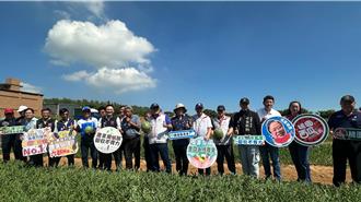 桃園西瓜田告別塑膠農膜 環保紙膜每公頃可減1055Kg碳當量