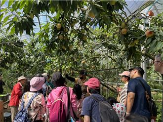 南投梅峰田園夏宴暑假登場 親子共享「合歡山牌」冷氣兼採果