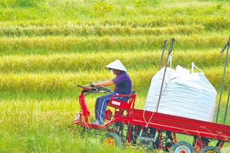 學者籲祭農業收入保險 保障農民