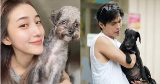 直擊》Gino當司機兼狗狗保姆　送夏宇禾與好姐妹出遊