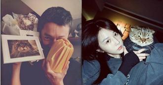 吳慷仁昔愛貓過世趕不回家　淚謝邵雨薇幫處理後事