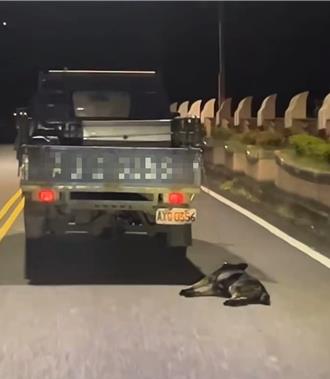 宜兰货车拖行狗数百公尺！饲主辩「自己掉下去」 警要查了