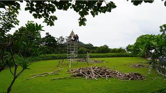 北海岸藝術季7月登場 漂流木化身地景藝術 串連山海記憶