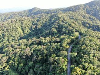 屏東高士保安林正名「saqecengalj」 延續排灣族文化命脈