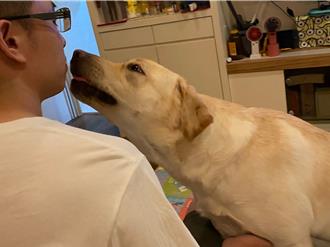 毛孩控過敏退散！三伏貼神救援 擺脫鼻炎開心玩