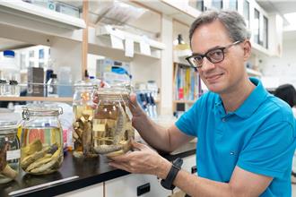 櫻花鉤吻鮭瀕臨絕種 長庚大學揭基因缺陷：不利抵抗感染